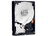 WESTERN DIGITAL WD10EALS (1TB SATA300 7200)
