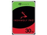 SEAGATE ST30000NT011