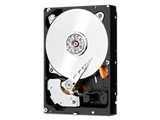 WESTERN DIGITAL WD6003FFBX