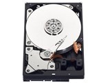 WESTERN DIGITAL WD5000AAKX