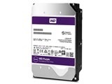 WESTERN DIGITAL WD101PURZ