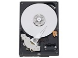 WESTERN DIGITAL WD10EADS (1TB SATA300)