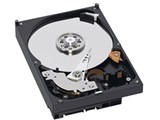 WESTERN DIGITAL WD5000AAKB (500G U100 7200)