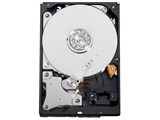 WESTERN DIGITAL WD15EADS (1.5TB SATA300)