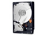 WESTERN DIGITAL WD4005FZBX