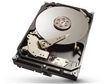 SEAGATE ST1000DX001
