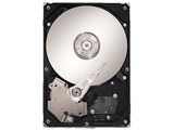 SEAGATE ST31000520AS (1TB SATA300 5900)
