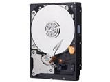 WESTERN DIGITAL WD50EZRZ