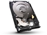 SEAGATE ST3000DM001