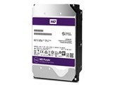 WESTERN DIGITAL WD121PURZ