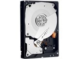WESTERN DIGITAL WD1002FAEX (1TB SATA600 7200)
