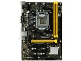 BIOSTAR H110M-BTC