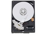 WESTERN DIGITAL WD15EARS (1.5TB SATA300)